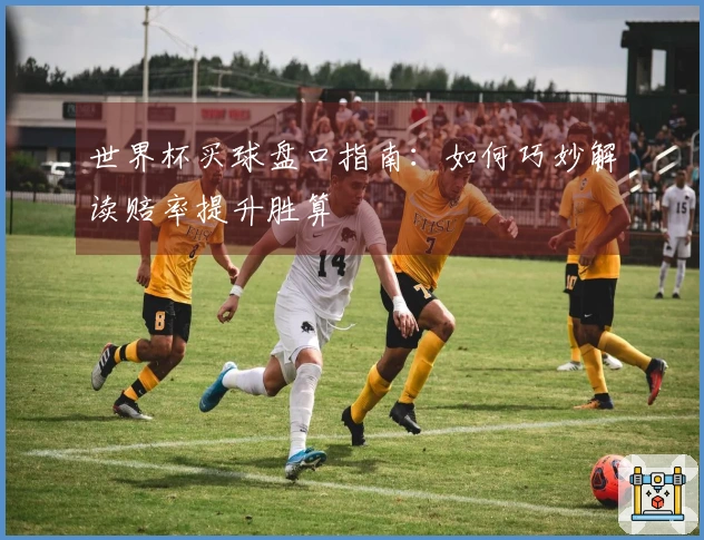 世界杯买球盘口指南：如何巧妙解读赔率提升胜算