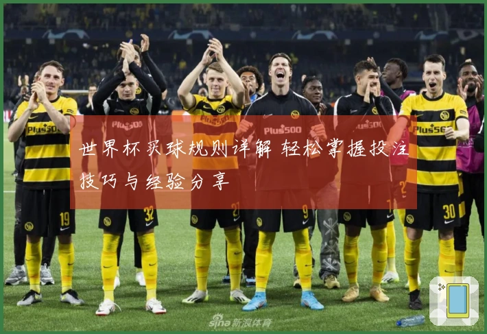 世界杯买球规则详解 轻松掌握投注技巧与经验分享