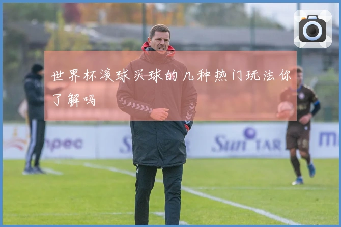 世界杯滚球买球的几种热门玩法你了解吗