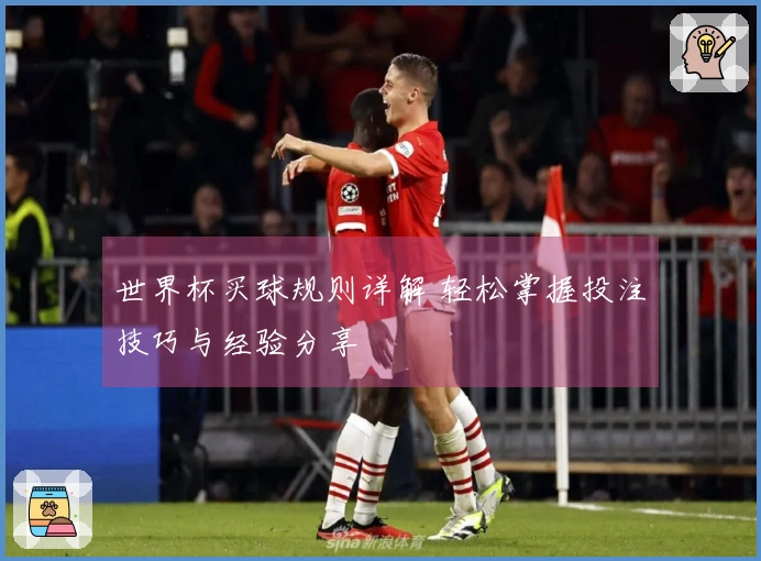 世界杯买球规则详解 轻松掌握投注技巧与经验分享